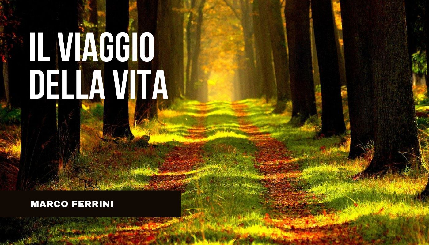 Il Viaggio della Vita: sentiero in mezzo a un fitto bosco che conduce alla luce
